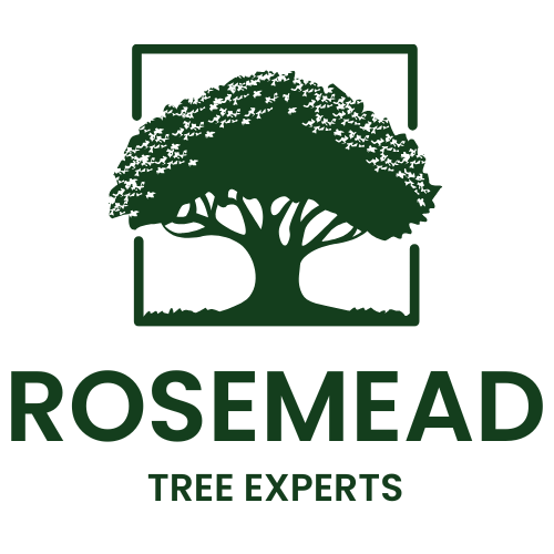 Rosemead Tree Experts